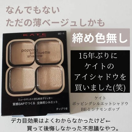 ケイト ポッピングシルエットシャドウ/KATE/アイシャドウパレットを使ったクチコミ(1枚目)