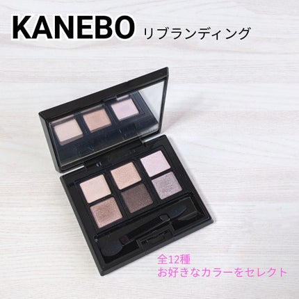 カネボウ アイカラーデュオ/KANEBO/アイシャドウパレットを使ったクチコミ(1枚目)