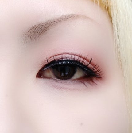 ブラーフィニシュシャドウパレット/Dinto/アイシャドウパレットを使ったクチコミ(5枚目)