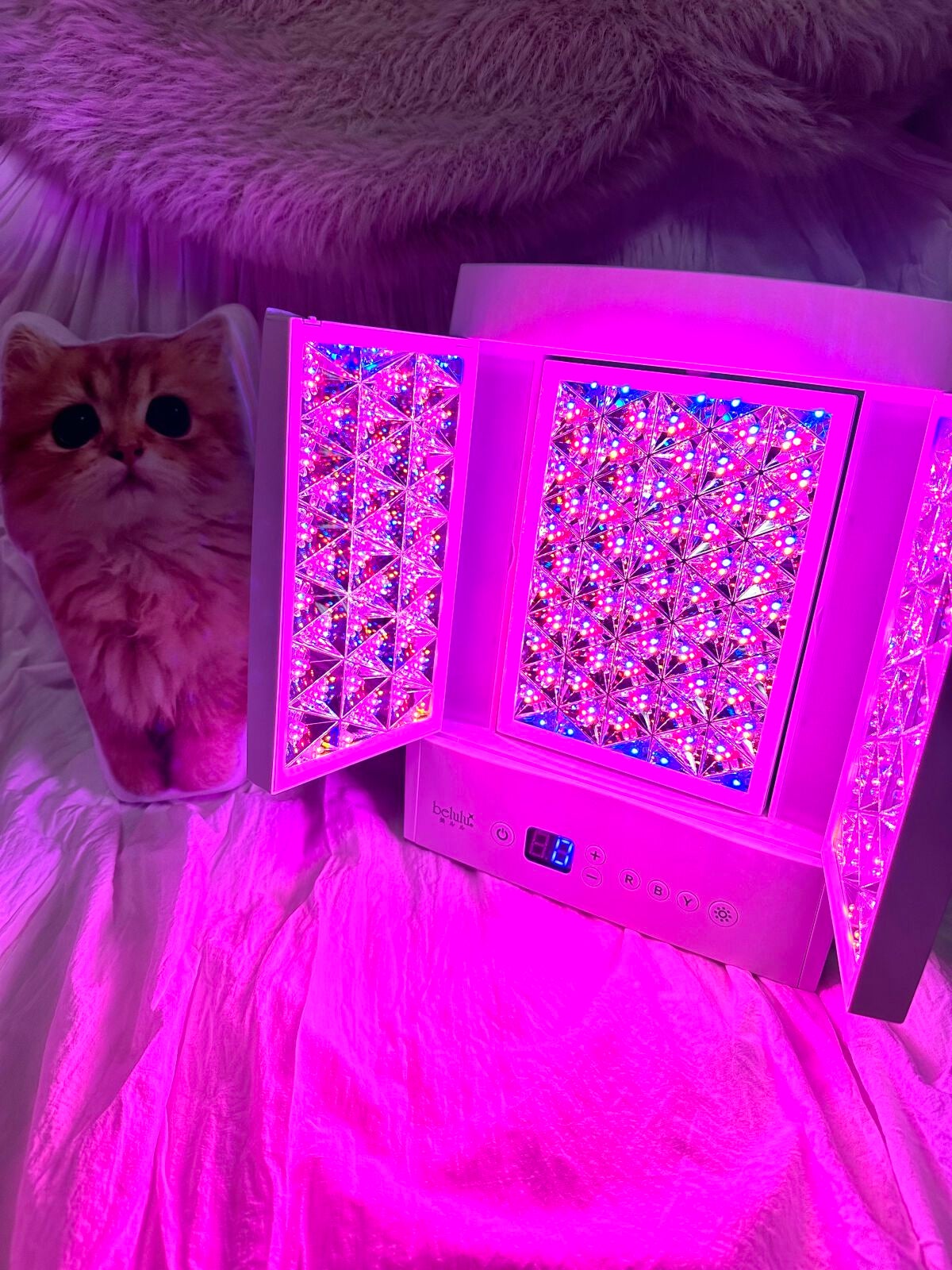 美ルル ヒカリプラス/belulu/美顔器・マッサージを使ったクチコミ(5枚目)