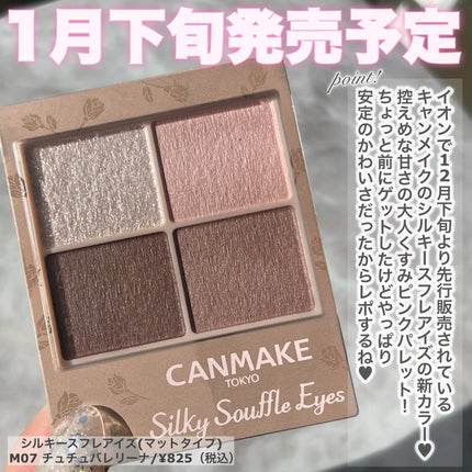 シルキースフレアイズ(マットタイプ)/キャンメイク/アイシャドウパレットを使ったクチコミ(2枚目)