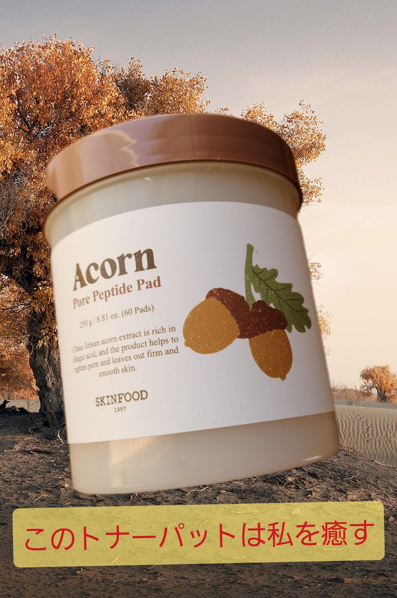 どんぐり ポア ペプチド パッド/SKINFOOD/トナーパッドを使ったクチコミ(1枚目)