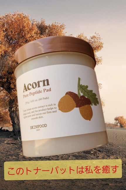 どんぐり ポア ペプチド パッド/SKINFOOD/トナーパッドを使ったクチコミ(1枚目)