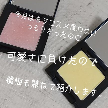 ラズル アイカラー/エレガンス ラズル /単色アイシャドウを使ったクチコミ(1枚目)