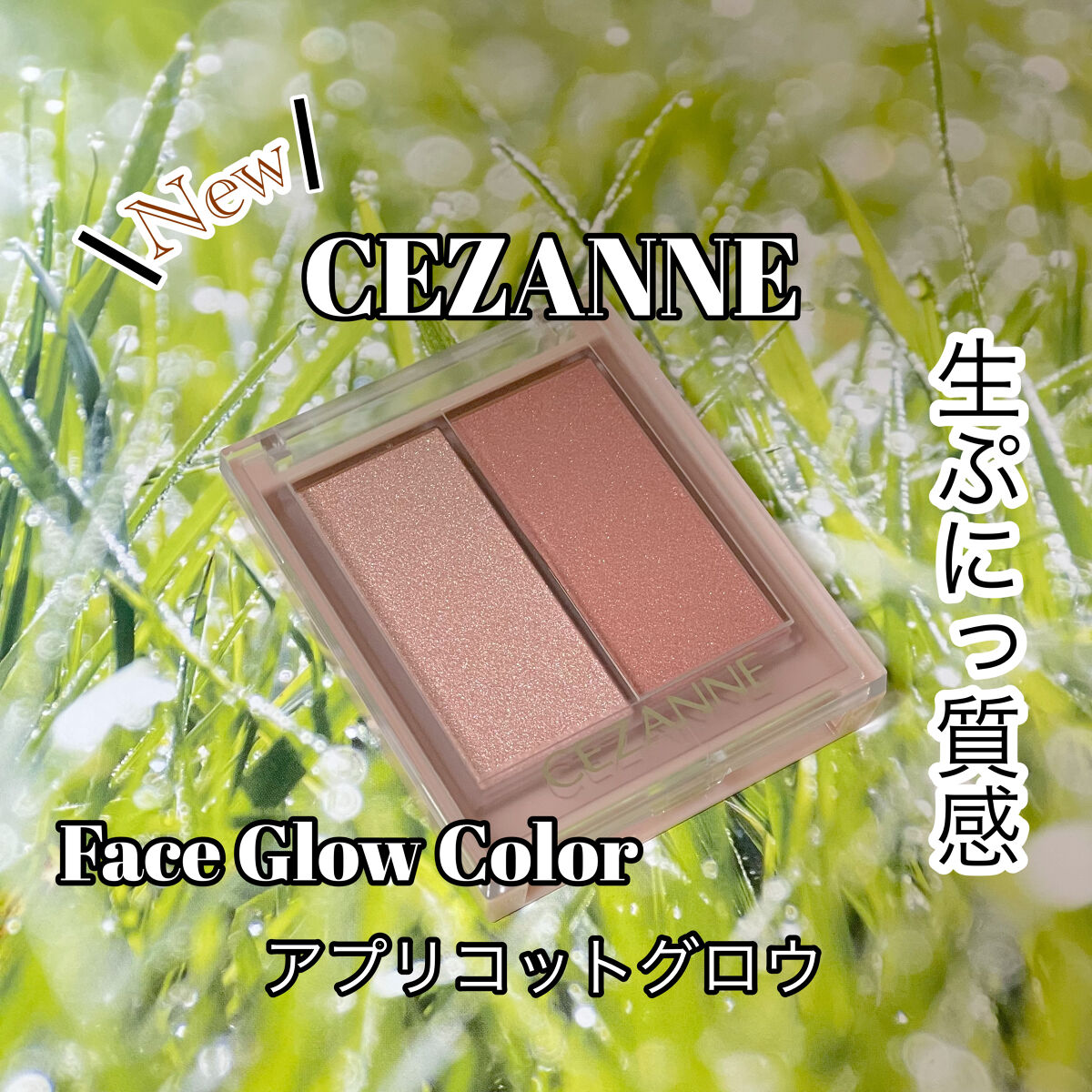 フェイスグロウカラー/CEZANNE/クリームハイライトを使ったクチコミ（1枚目）