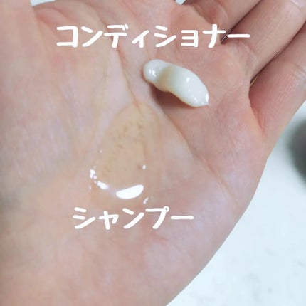 オイルイントリートメント(グロス&リペア)/ディアボーテ/洗い流すヘアトリートメントを使ったクチコミ(2枚目)