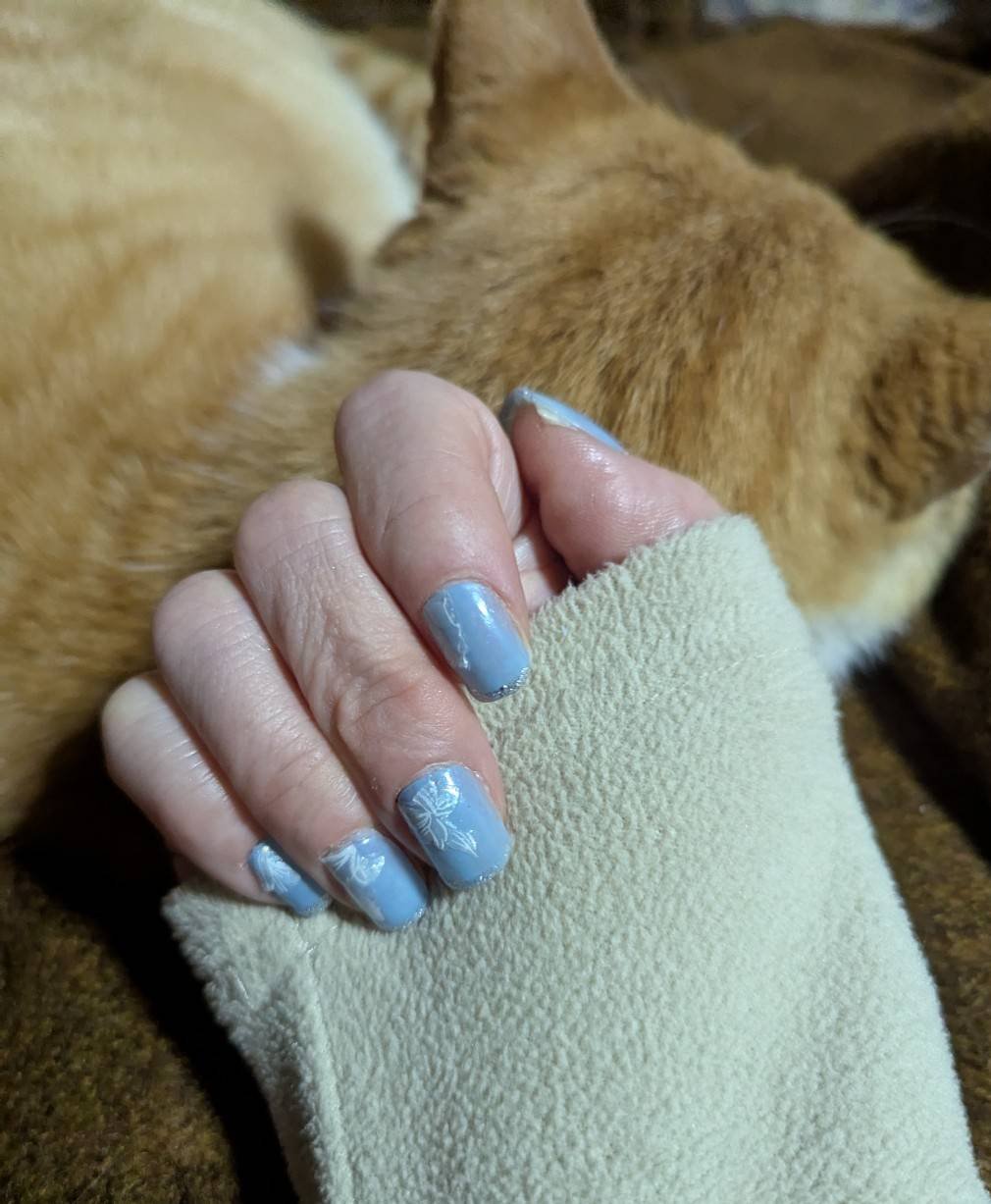 ネイルホリック BL917/ネイルホリック/マニキュアを使ったクチコミ（1枚目）