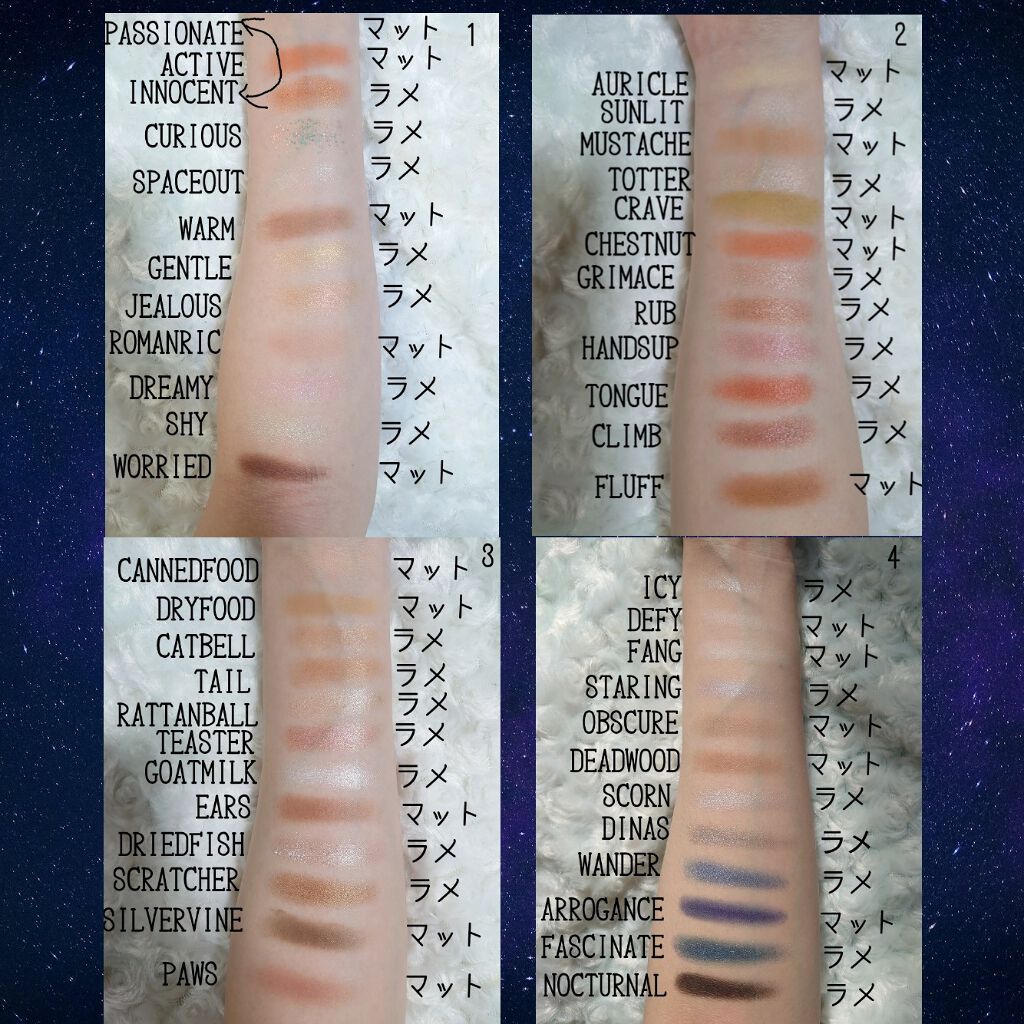 エクスプローラ12色 動物アイシャドウパレット/PERFECT DIARY/アイシャドウパレットを使ったクチコミ（3枚目）