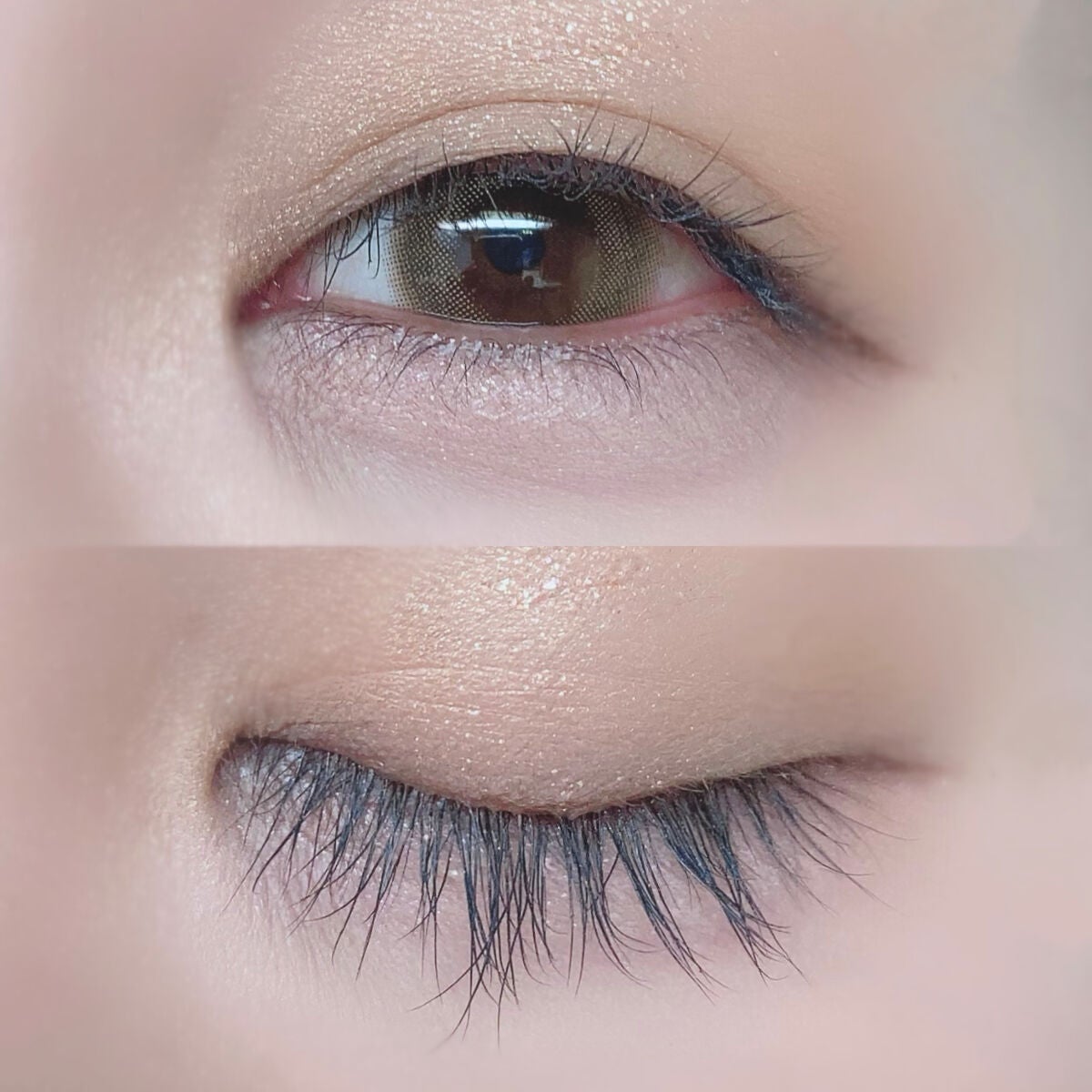 シャドウパレット/dasique/アイシャドウパレットを使ったクチコミ(5枚目)