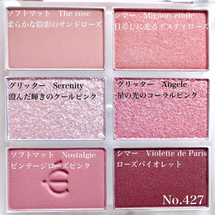 プロアイシャドウパレットセシル/CELEFIT/アイシャドウパレットを使ったクチコミ(2枚目)