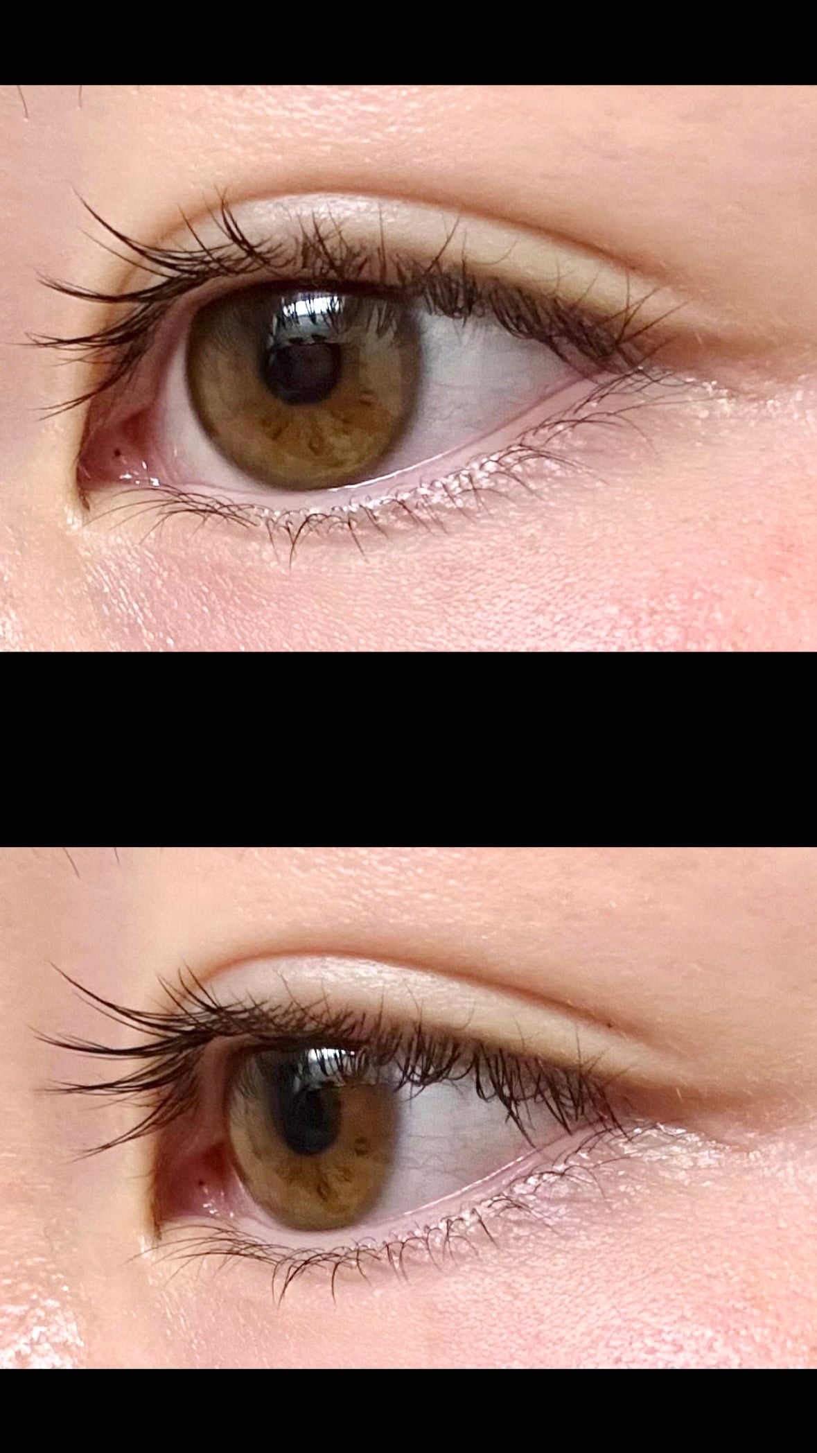 ラッシュフォーマー(クリア)/KATE/マスカラを使ったクチコミ(2枚目)