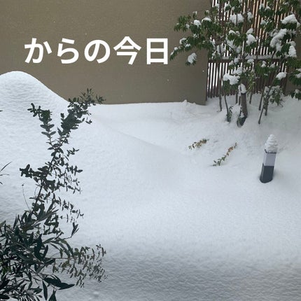 クリーム UFC/Kiehl's/フェイスクリームを使ったクチコミ(4枚目)