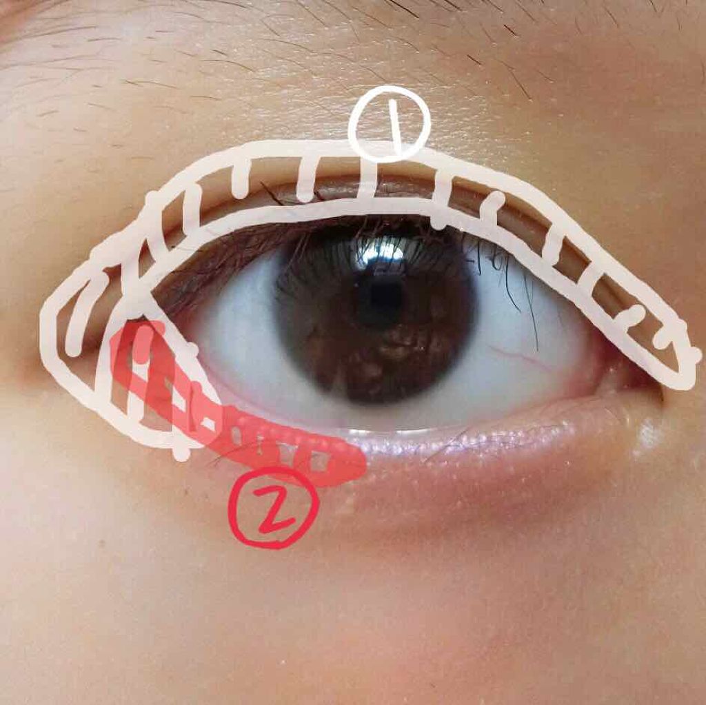 パーフェクトマルチアイズ/キャンメイク/アイシャドウパレットを使ったクチコミ(3枚目)