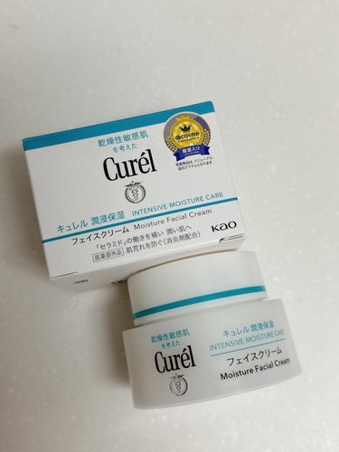 【使った商品】
キュレル　潤浸保湿 フェイスクリーム

【肌質】
乾燥肌

【テクスチャ】
軽いサラッとしたクリーム

✼••┈┈••✼••┈┈••✼••┈┈••✼••┈┈••✼

年末くらいからメイク