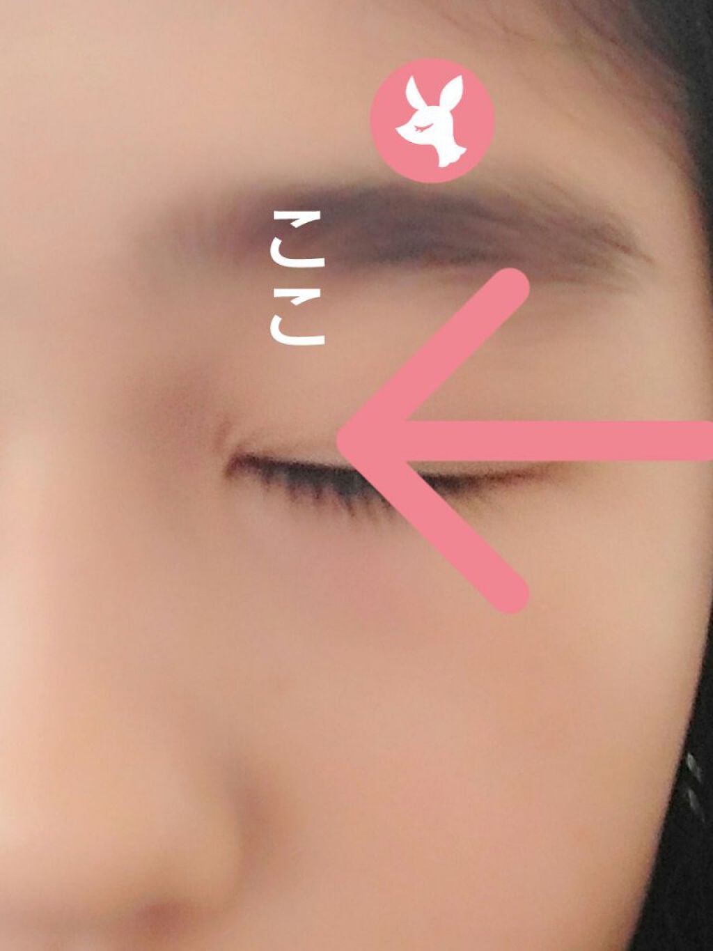 sa3 on LIPS 「皆さん、投稿できなくてごめんなさい🥺皆さんに質問したいのでぜひ..」(1枚目)