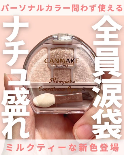 プランぷくコーデアイズ/キャンメイク/パウダーアイシャドウを使ったクチコミ(1枚目)