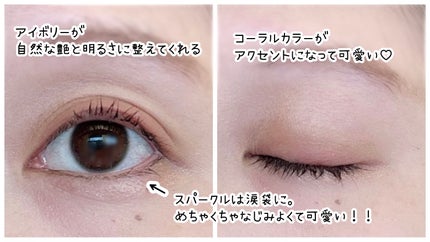 フェイスカラーパレット/チャコット・コスメティクス/アイシャドウパレットを使ったクチコミ(3枚目)