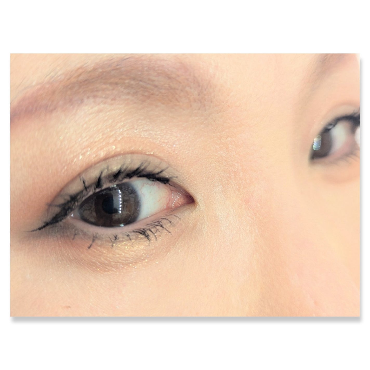 グラデーション アイシャドウ/ちふれ/アイシャドウパレットを使ったクチコミ(2枚目)