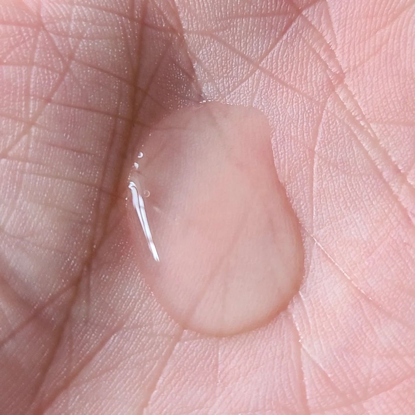 マグワートリッチセラム/ブレーンコスモス/美容液を使ったクチコミ(5枚目)