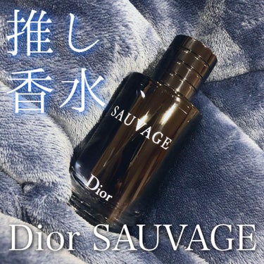 ソヴァージュ オードゥ トワレ/Dior/香水(メンズ)を使ったクチコミ（1枚目）