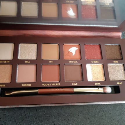 エクスプローラ12色 動物アイシャドウパレット/PERFECT DIARY/アイシャドウパレットを使ったクチコミ(2枚目)