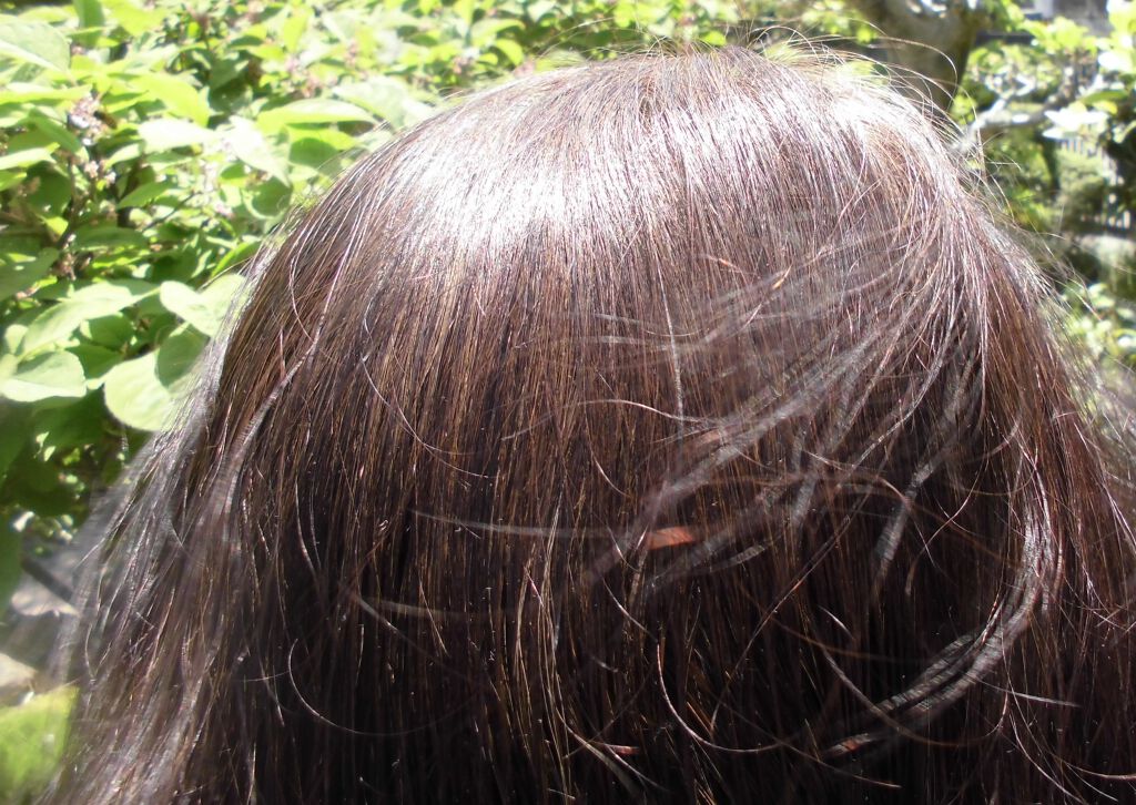 クレイクリームシャンプー(モイスト)/cocone/市販シャンプーを使ったクチコミ(4枚目)