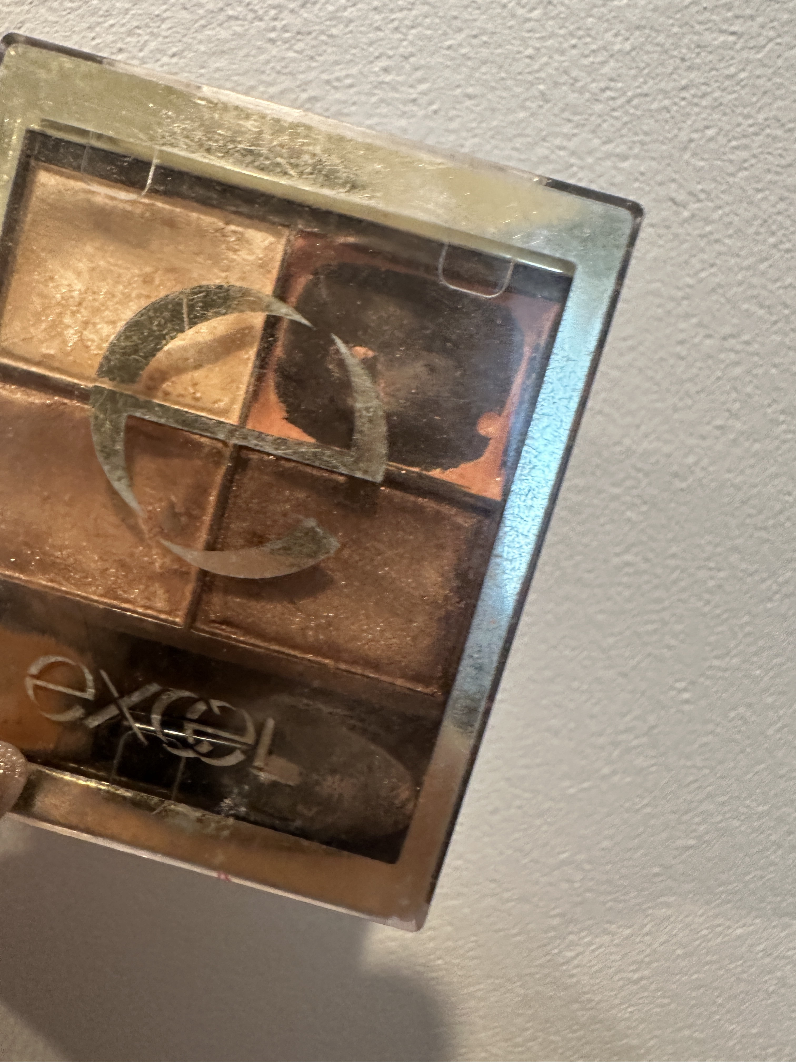 スキニーリッチシャドウ/excel/アイシャドウパレットを使ったクチコミ（1枚目）