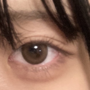 melotte 1day シークレットベア/melotte/ワンデー（１DAY）カラコンを使ったクチコミ（1枚目）