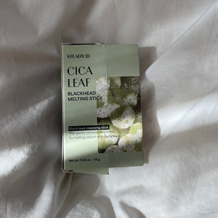 STEADY:D シカリーフ ブラックヘッドメルティングスティック