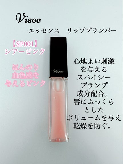 ラシャスリップス/ラシャスリップス/リップグロスを使ったクチコミ(3枚目)