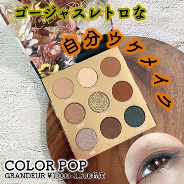 シャドウパレット ColourPop/ColourPop/アイシャドウパレットを使ったクチコミ（1枚目）