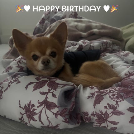 ヴェルニ ディオリフィック/Dior/マニキュアを使ったクチコミ(6枚目)