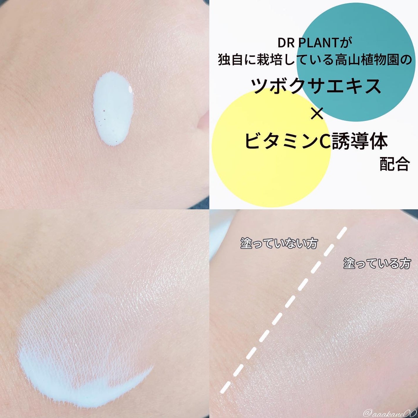 モイストサンスクリーンローション/DR PLANT/日焼け止めローションを使ったクチコミ(3枚目)