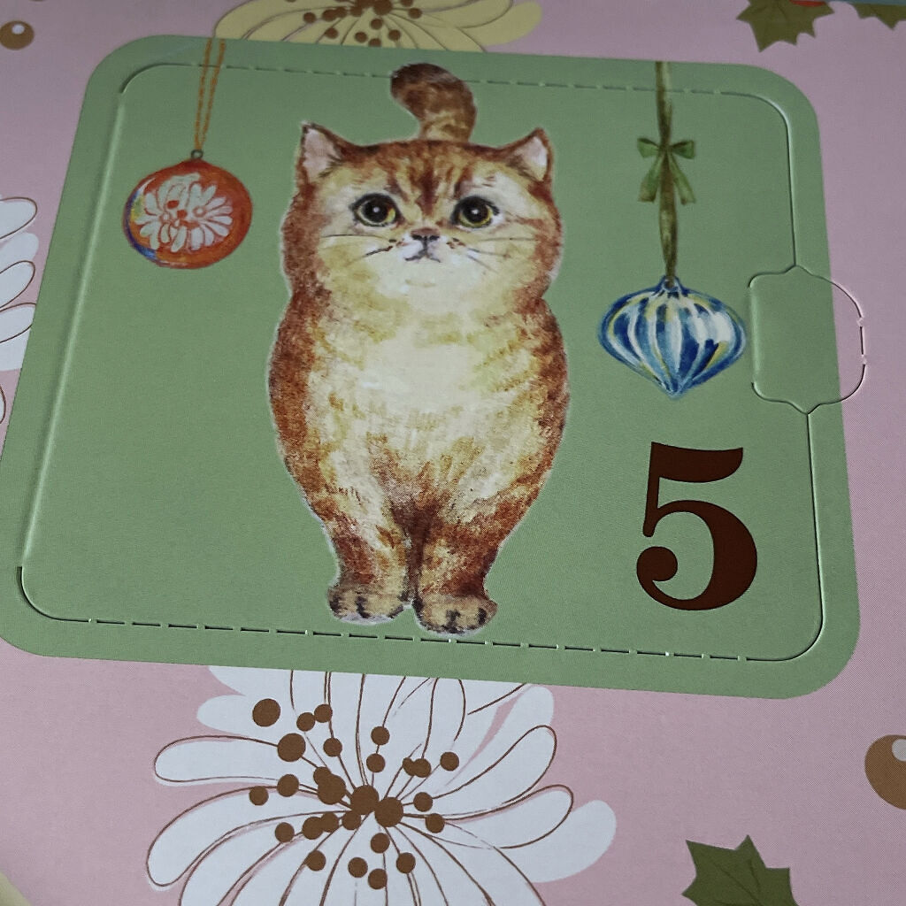 パウダー ブラッシュ/PAUL & JOE BEAUTE/パウダーチークを使ったクチコミ（1枚目）