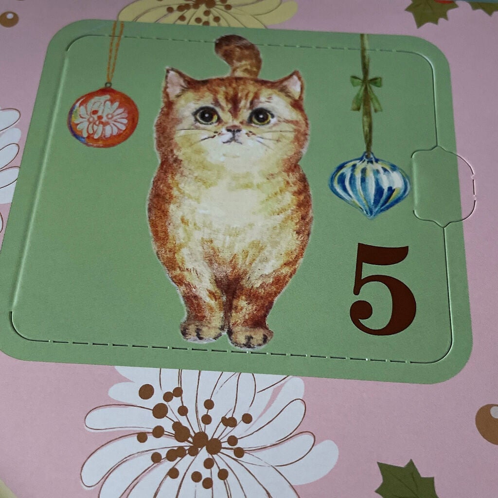 パウダー ブラッシュ/PAUL & JOE BEAUTE/パウダーチークを使ったクチコミ(1枚目)