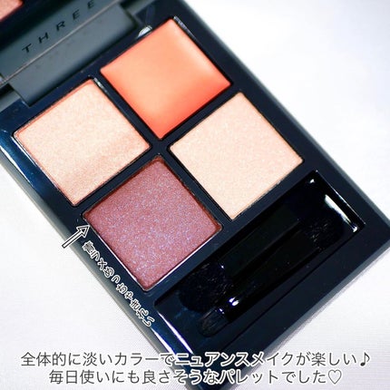 ディメンショナルビジョンアイパレット/THREE/アイシャドウパレットを使ったクチコミ(6枚目)