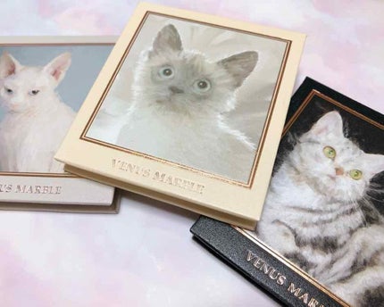 Venus Marble アイシャドウキャットシリーズ/Venus Marble/アイシャドウパレットを使ったクチコミ(4枚目)