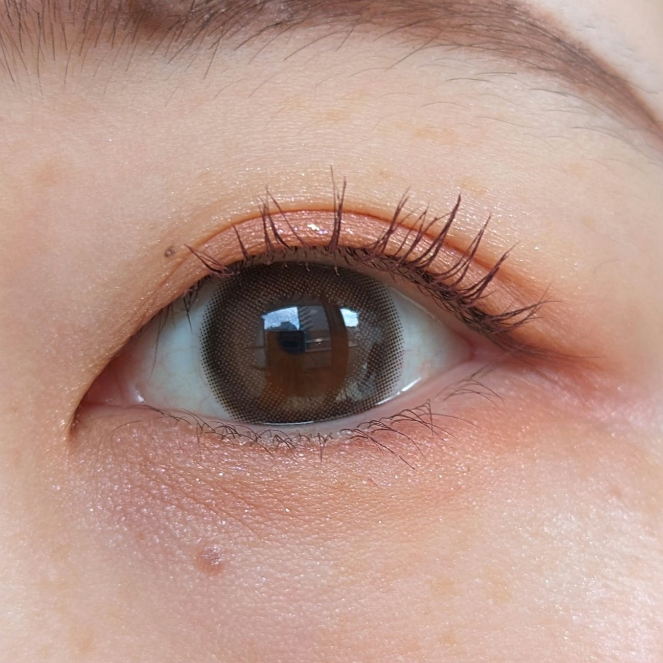 ジルスチュアート ブルームクチュール アイズ ジュエルドブーケ/JILL STUART/アイシャドウパレットを使ったクチコミ(6枚目)