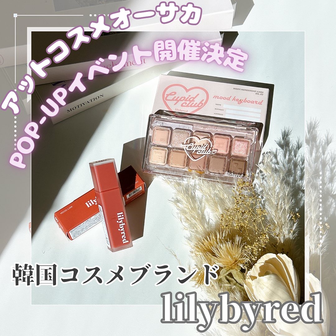 ムードキーボード 05 ウォームメンバーシップ(Warm Membership)/lilybyred/アイシャドウパレットを使ったクチコミ（1枚目）