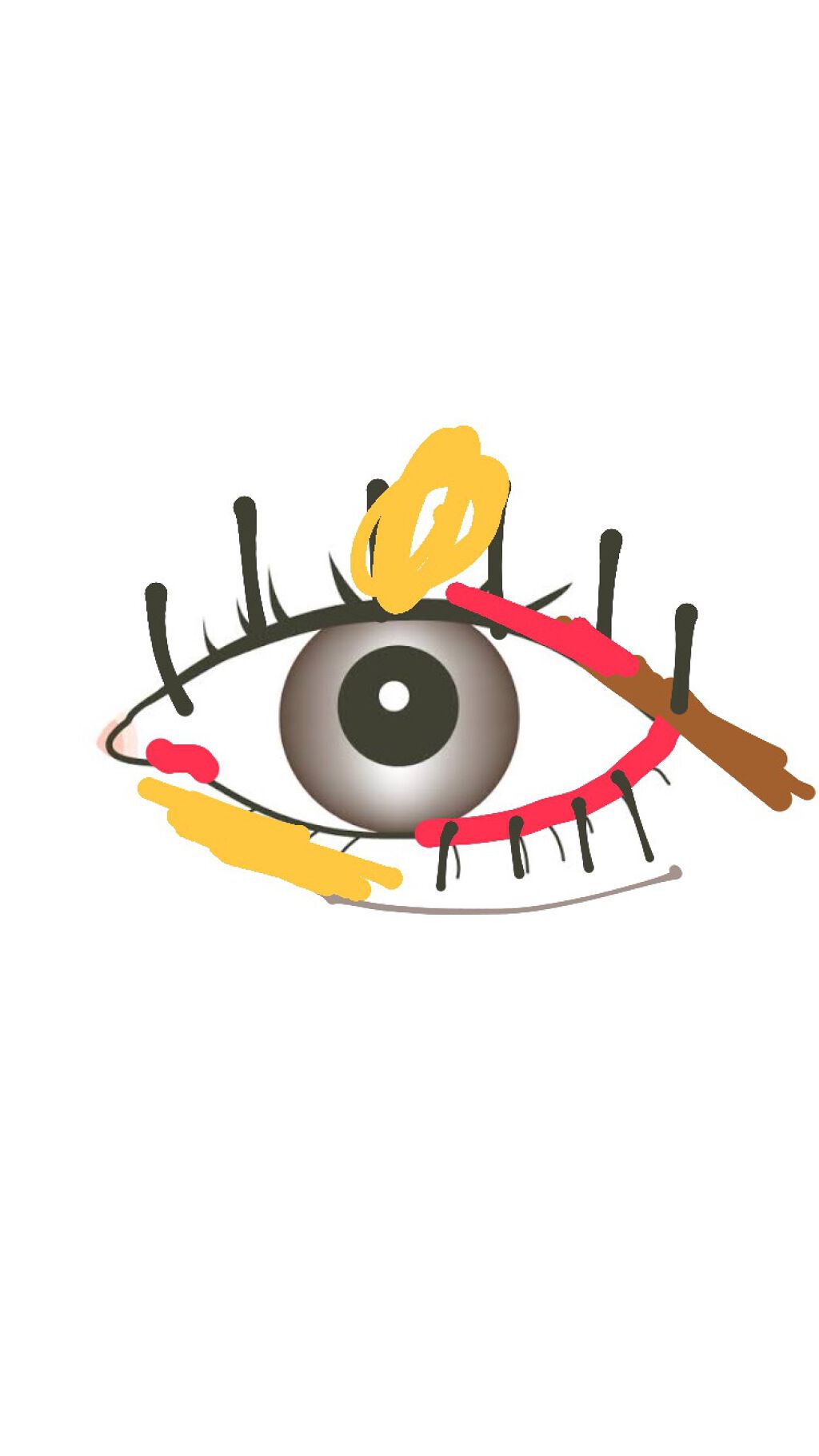 シングルカラーアイシャドウ/CEZANNE/単色アイシャドウを使ったクチコミ（1枚目）