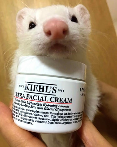 クリーム UFC/Kiehl's/フェイスクリームを使ったクチコミ（1枚目）