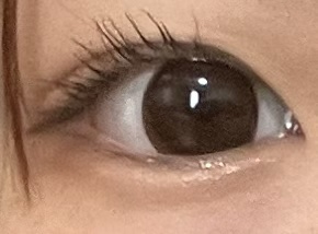 カラーパターンパレット/i’m meme/マルチパレットを使ったクチコミ（2枚目）