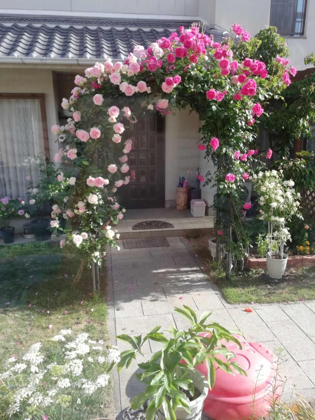 オペラ リップティント N/OPERA/リップティントを使ったクチコミ(4枚目)