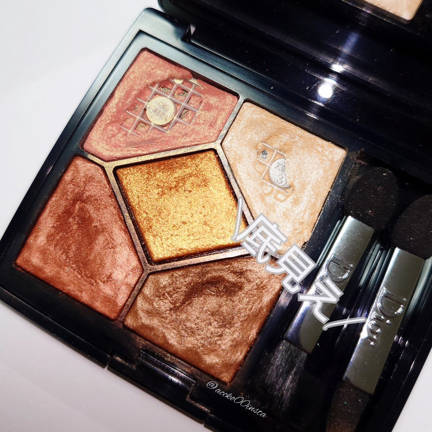 サンク クルール<ワイルド アース>/Dior/アイシャドウパレットを使ったクチコミ(1枚目)