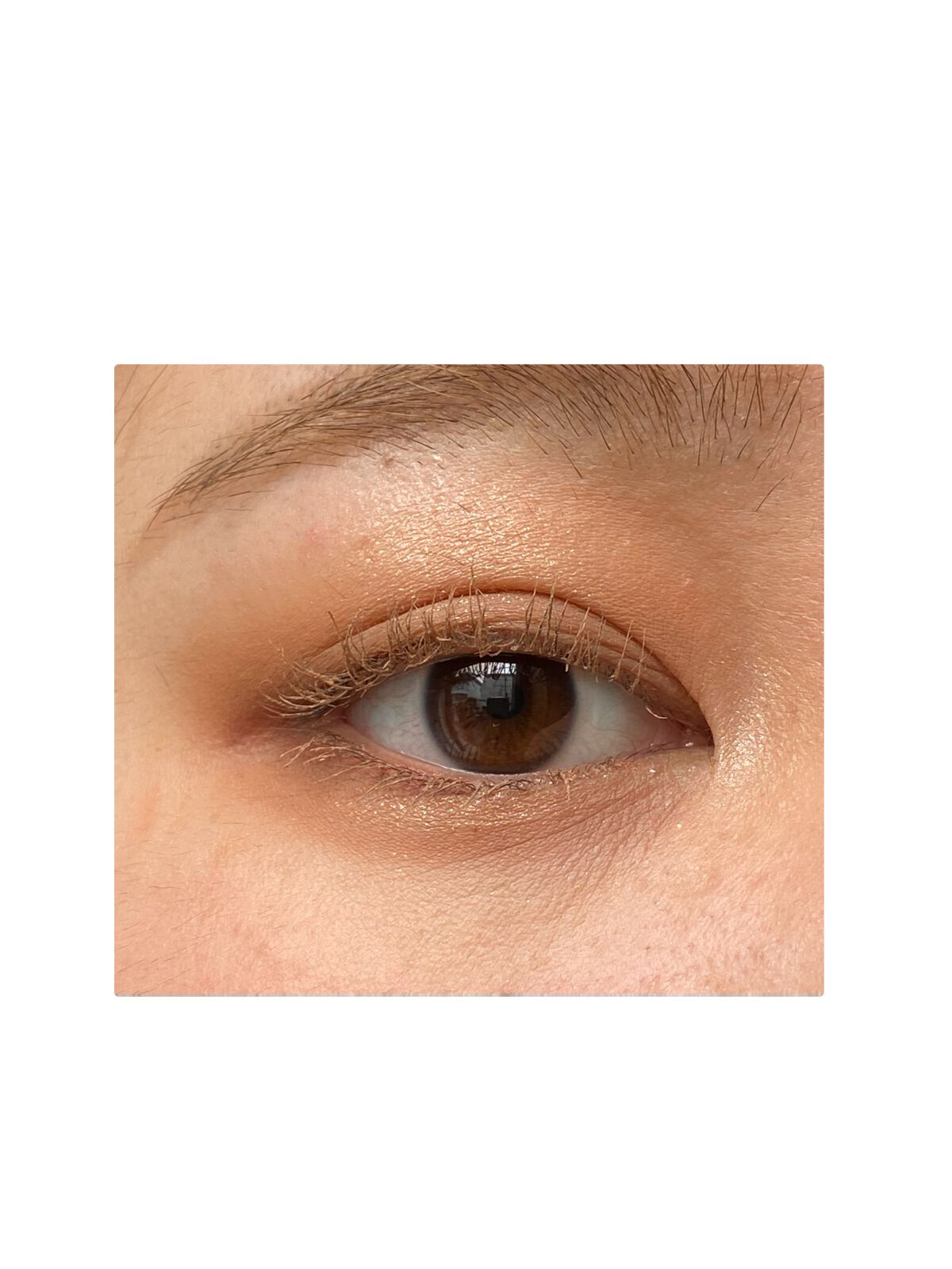 プロ アイパレット ミニ/CLIO/アイシャドウパレットを使ったクチコミ（2枚目）