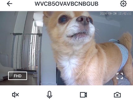 ぷぅぴぃ《紫コス部💜💗》 on LIPS 「大切な家族やペットを見守りませんか?✨Amazon購入品✨Wa..」(7枚目)