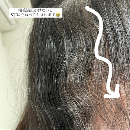 コンパクトスタイラー/TANGLE TEEZER/ヘアブラシを使ったクチコミ(2枚目)
