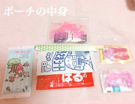 やこ(Yacco) on LIPS 「#私のポーチ第2弾今回はコスメは関係のない本当に何でもポーチっ..」(4枚目)