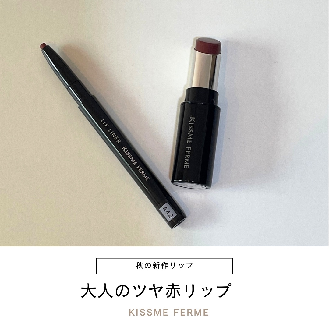 キスミー フェルム ミセイロルージュ 05 ナイトチャイ/キスミー フェルム/口紅を使ったクチコミ（1枚目）