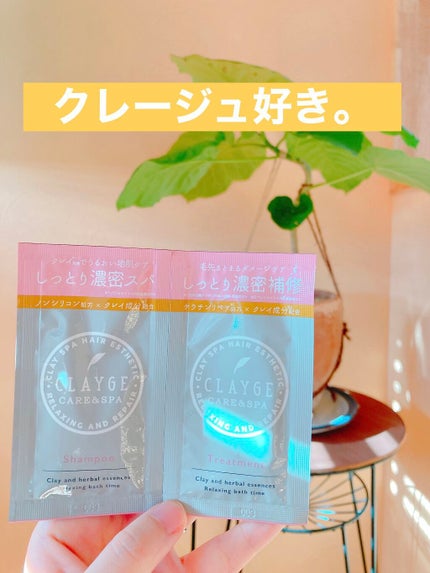 シャンプー/トリートメント DN ダメージケア トリートメント本体500ml/CLAYGE/シャンプー・コンディショナーを使ったクチコミ(1枚目)